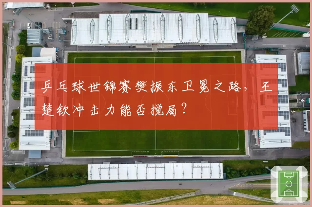 乒乓球世锦赛樊振东卫冕之路，王楚钦冲击力能否搅局？