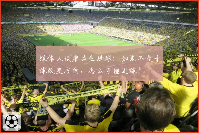 媒体人谈廖力生进球：如果不是手球改变方向，怎么可能进球？