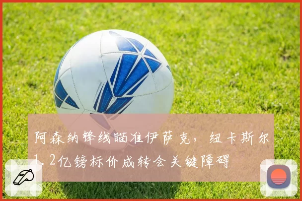 阿森纳锋线瞄准伊萨克,纽卡斯尔1.2亿镑标价成转会关键障碍