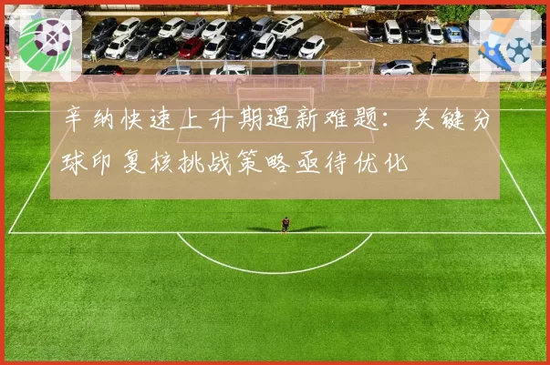 辛纳快速上升期遇新难题：关键分球印复核挑战策略亟待优化