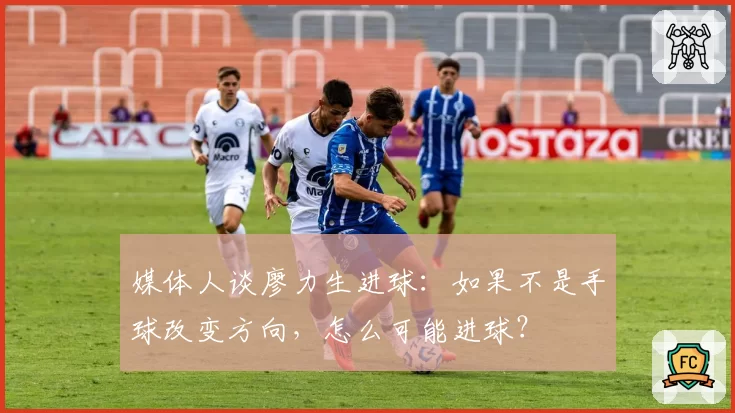 媒体人谈廖力生进球：如果不是手球改变方向，怎么可能进球？